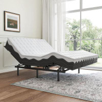 Alwyn Home Barwin Metal Platform Bed