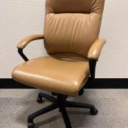 Teknion Harrington Office Chair – Tan – Black Base