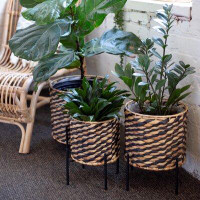 Bay Isle Home™ SET OF 3 LINED PLANT BASKETS
