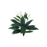 Primrue Luxurious 30" Spathiphyllum Plant Set, 6 Pieces - Verdant Green Indoor/outdoor Decorative Plant, Ideal For Home