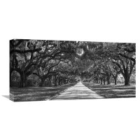 Global Gallery Tree Lined Plantation Entrance, South Carolina Photographic Print on Wrapped Canvas