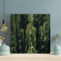 Foundry Select Green Cactus Plants 1 - Wrapped Canvas Painting