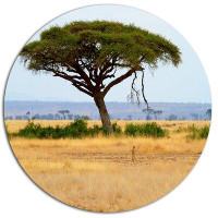 Made in Canada - Design Art 'Acadia Tree and Cheetah in Africa' Photographic Print on Metal