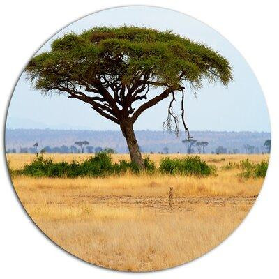 Made in Canada - Design Art 'Acadia Tree and Cheetah in Africa' Photographic Print on Metal in Arts & Collectibles