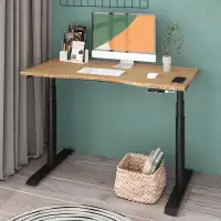 The Twillery Co. Darena Height Adjustable Standing Desk Curved Desktop