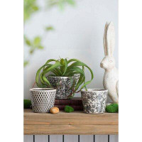 World Menagerie Aughareamlagh Ceramic Pot Planter