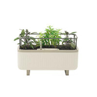 Vego Garden Mini Herb Metal Outdoor Pot Planter with Trellis