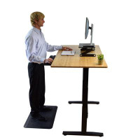 Inbox Zero Black and Natural Bamboo 52" Dual Motor Electric Office Adjustable Computer Desk