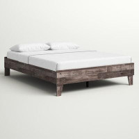 Sand & Stable™ Teddy 15.31" Platform Bed