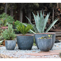 17 Stories 4 - Piece Clay Pot Planter Set