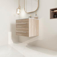 Ebern Designs Lovyam 24" Wall-Mounted Single Bathroom Vanity Set