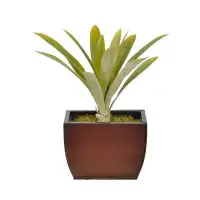 House of Silk Flowers Inc. Artificial Yucca Grass Desk Top Plant in Decorative Vase