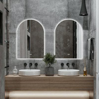 Wade Logan Cadedra Arch LED Wall Mirror Bathroom Mirror with Defogging with Adjustable Light with Backlight