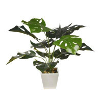 Primrue 19" Monstera Plants With White Pot