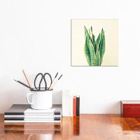 East Urban Home Snake Plant - Wrapped Canvas Print