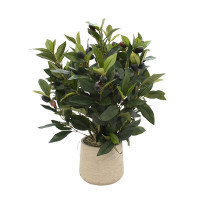 Primrue 22'' Faux Olive Tree Plant in Fiberstone Pot