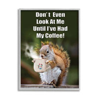 Trinx Trinx Funny Squirrel Coffee Phrase Framed Giclee Art Design By Karen Burke