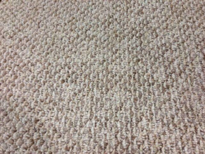 Carpet, pad and install !!!  ONLY $3.49 Sf Berber in 3 colors Windsor Region Ontario Preview