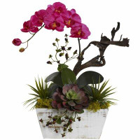 Primrue Orchids Floral Arrangements in Planter