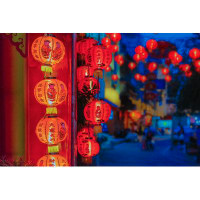 Ebern Designs Chinese New Year Lanterns With Blessing Text