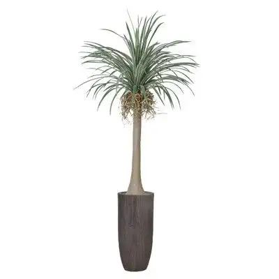 Vintage Home 98"H Vintage Real Touch Dragon Tree, Indoor/ Outdoor, In Rounded Planter With Rope Basket ( 42X42x78"H )