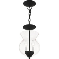 Wildon Home® 2 Light  Chain Hang/ceiling Light Fixture
