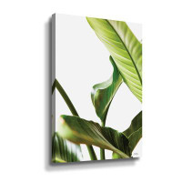Bayou Breeze Plant Leaves Gallery Wrapped Canvas
