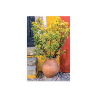 Ebern Designs Potted Plant In Front Of A Colorful Entrance To A Home, Obidos, Portugal Print On Acrylic Glass