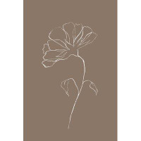 Orren Ellis 'transparent Flower Sketch' Print On Wrapped Canvas
