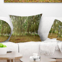East Urban Home Rubber Tree Plantation During Midday Landscape Printed Pillow Cover & Insert