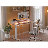 Inbox Zero Modern Light Electric Standing Desk Height Adjustable