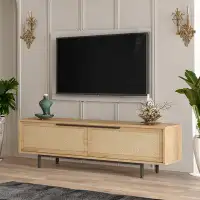 Bayou Breeze Babacar TV Stand for TVs up to 70"