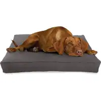 Bean Products Bean Products Premium Organic Hemp Dog Bed - Certipur Fill, Removeable Cover, Environmentally Friendly, Re