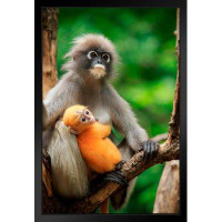 Latitude Run® Dusky Leaf Monkey Mother And Newborn Baby Primate Poster Monkey Decor Monkey Paintings For Wall Monkey Pic