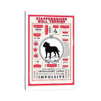 East Urban Home Staffordshire Bull Terrier Infographic Red - Wrapped Canvas Print