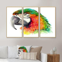 Bayou Breeze Portrait Of Orange Green Parrot - Traditional Framed Canvas Wall Art Set Of 3