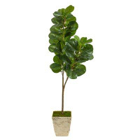 Primrue 5.5Ft. Fiddle Leaf Fig Artificial Tree In Country White Planter