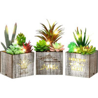 Primrue Kinkota Succulent Plants Artificial In Pots With LED Lights, Small Fake Succulents Plants Set Of 3, Mini Faux Po