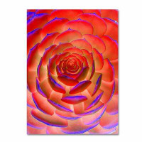 Trademark Fine Art 'Plant Art' by Patty Tuggle Graphic art on Canvas