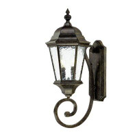 Darby Home Co Brook Lane 2 - Bulb Outdoor Wall Lantern