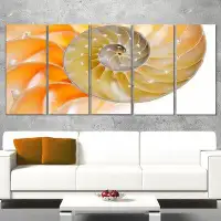 Made in Canada - Design Art Isolated Nautilus Shell 5 Piece Painting Print on Wrapped Canvas Set