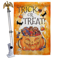 Breeze Decor Trick Or Treat Candys - Impressions Decorative Aluminum Pole & Bracket House Flag Set HS112078-BO-02
