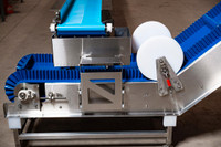 Conveyor Depositor Transfer Pump Filler Packaging Line Industrial Food Sanitizers