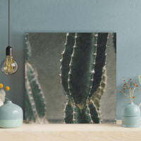 Foundry Select Cactus Plant Photography - 1 Piece Square Graphic Art Print On Wrapped Canvas