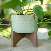 Dakota Fields Isom Ceramic Pot Planter