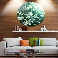 Made in Canada - Design Art 'Sunny Garden with Cute White Flowers' Photographic Print on Metal