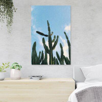 MentionedYou Green Cactus Plant Under Blue Sky During Daytime 1 - 1 Piece Rectangle Graphic Art Print On Wrapped Canvas