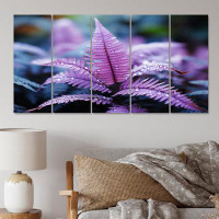 Bay Isle Home™ Purple Ferns Plant Ethereal Whispers I - Floral Wall Art Print - 5 Equal Panels