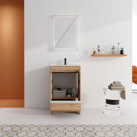 Millwood Pines 24" Freestanding Bathroom Vanity With Doors And Drawer