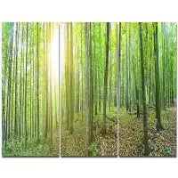 Made in Canada - Design Art 'Thick Green Forest Panorama' Photographic Print Multi-Piece Image on Canvas